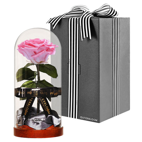 Enchanted Dome - Charming Pink