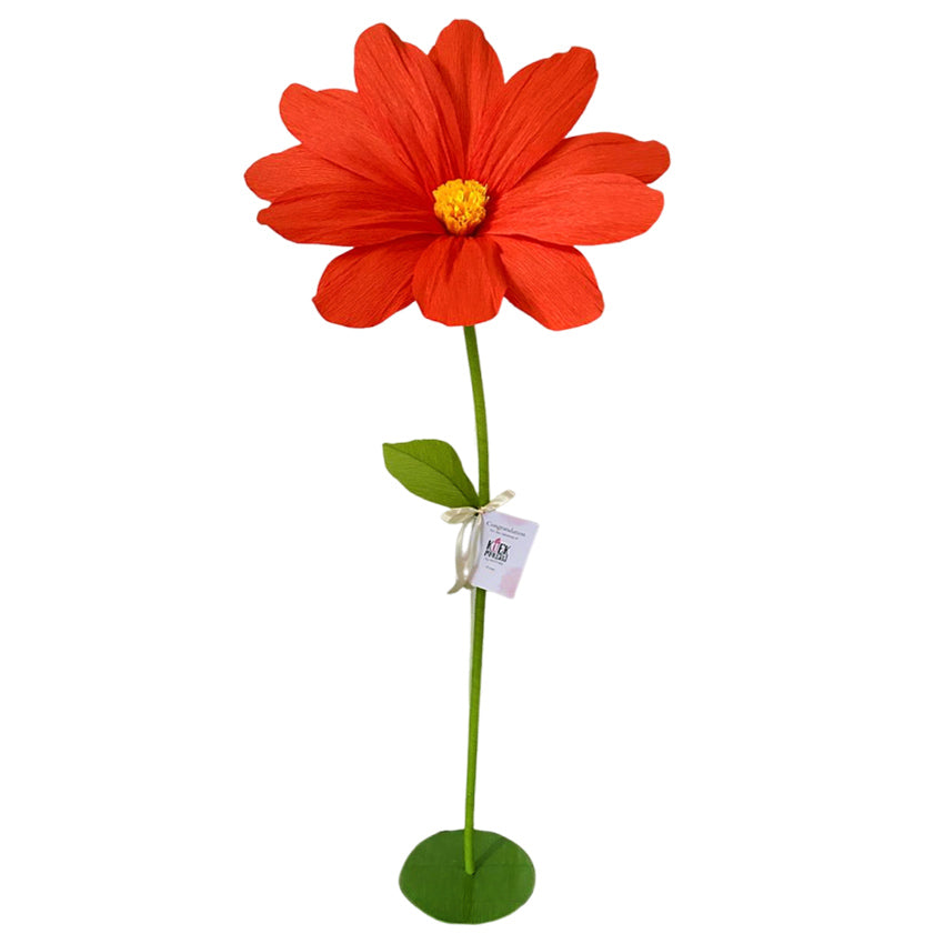 Flame Beauty Standing Giant Flower