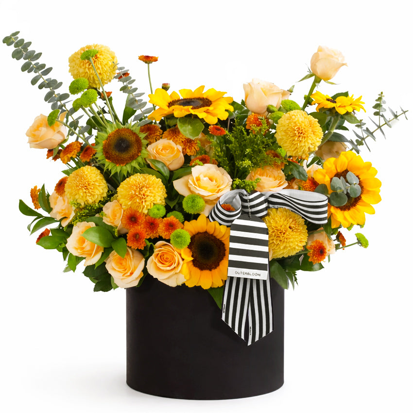 Golden Solana Bloom Box