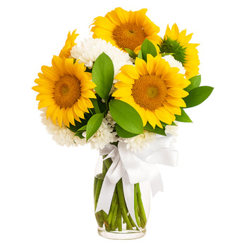 Sunflower Yellow And With White Daisies in Vase