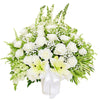 Milky White in Vase