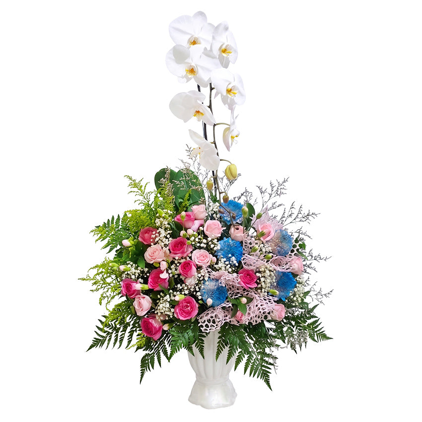 Majestic Rainbow in Vase