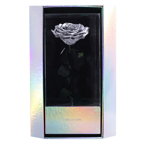 Enchanted Grande Love Pirouette - Moonlit Silver