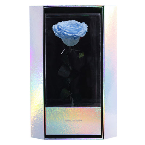 Enchanted Grande Love Pirouette - Sky Blue