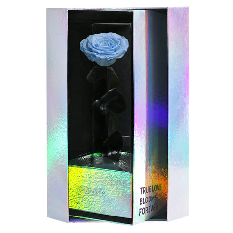 Enchanted Grande Love Pirouette - Sky Blue