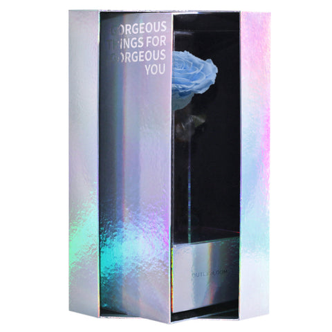 Enchanted Grande Love Pirouette - Sky Blue