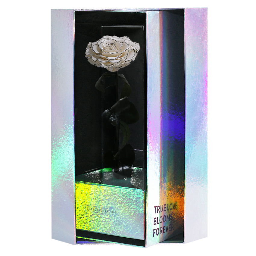 Enchanted Grande Love Pirouette - Velvet Monochrome