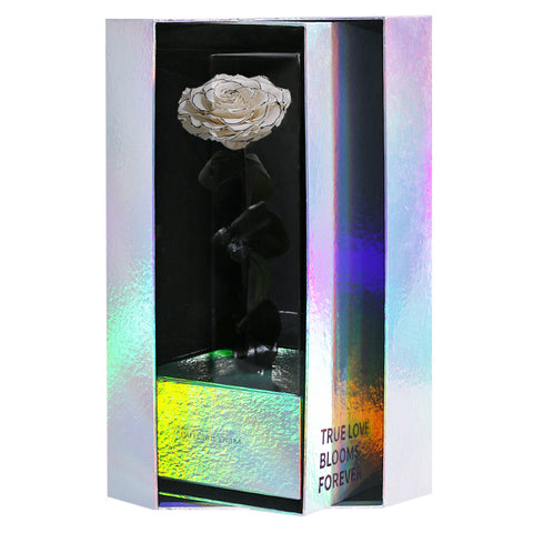 Enchanted Grande Love Pirouette - Velvet Monochrome