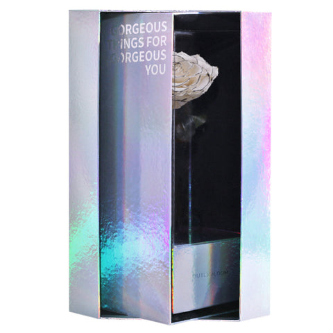 Enchanted Grande Love Pirouette - Velvet Monochrome