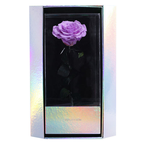 Enchanted Grande Love Pirouette - Majestic Lilac