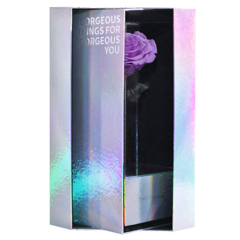 Enchanted Grande Love Pirouette - Majestic Lilac