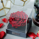 Astoria - Passionate Red