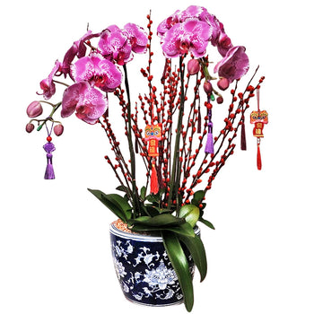 Twin Mandarin Orchid in Vase