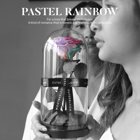 The Novo Enchanted Dome - Pastel Rainbow