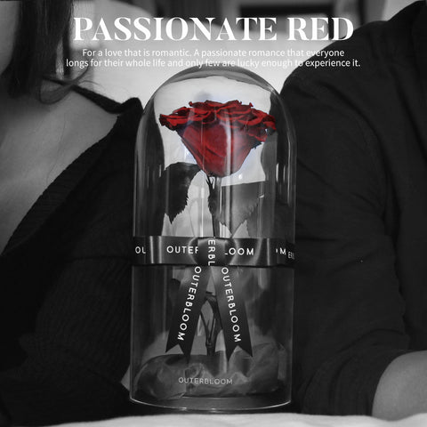 The Novo Enchanted Dome - Passionate Red