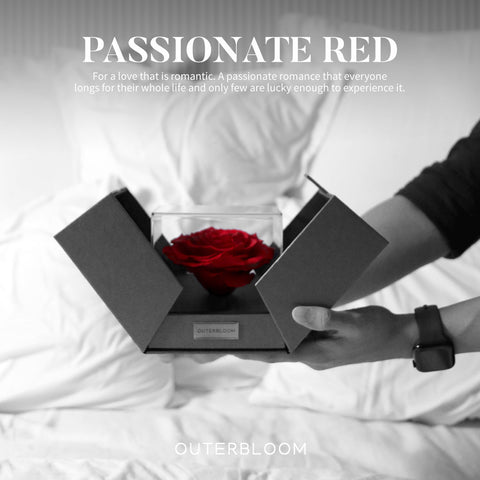 The Novo Astoria - Passionate Red