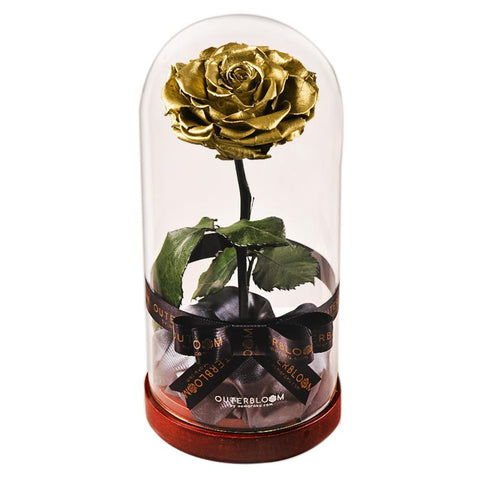 Enchanted Dome - Royal Gold