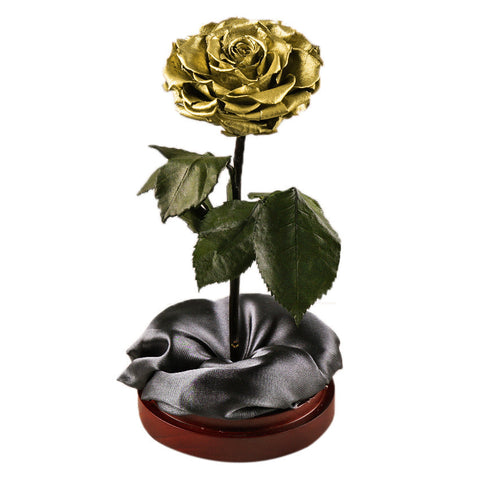 Enchanted Dome - Royal Gold