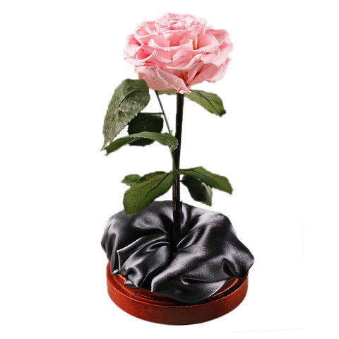 Enchanted Dome - Innocent Pink