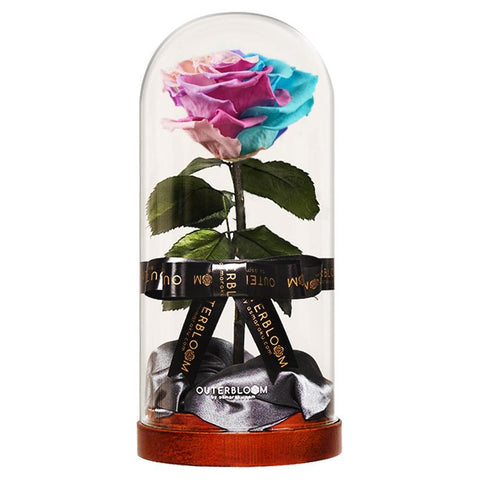 Enchanted Dome - Pastel Rainbow