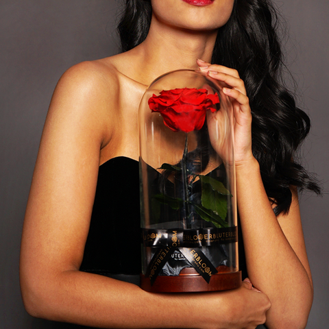 The Novo Enchanted Dome - Royal Gold