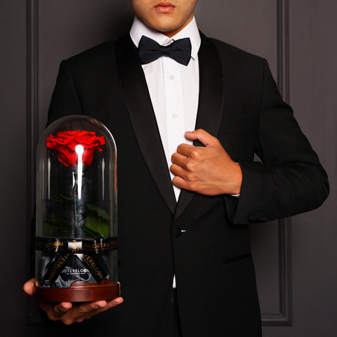 Enchanted Dome - Passionate Red