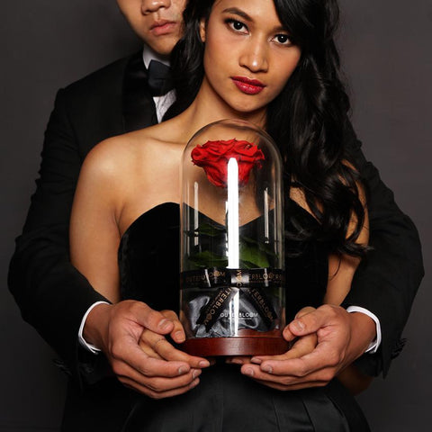 The Infinite Luxe & Beyond Set