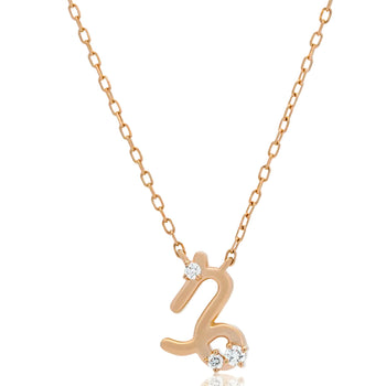 Sol et Terre Zodiac Pendant Capricorn Necklace