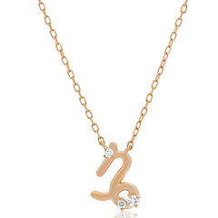 Sol et Terre Zodiac Pendant Capricorn Necklace