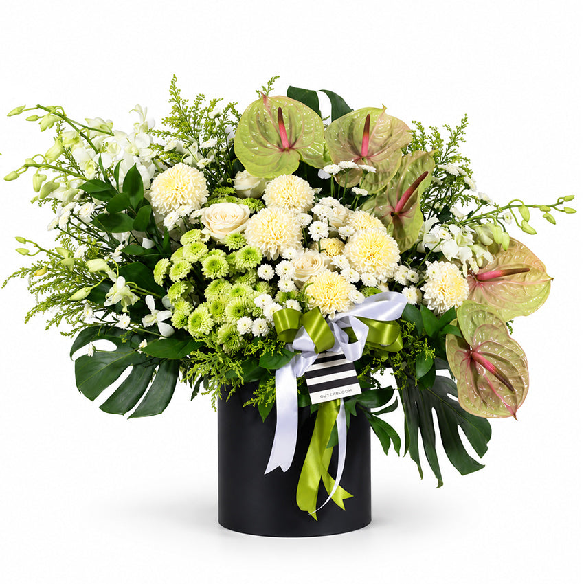 Sage Serenity Bloom Box