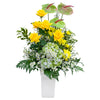 Serene & Shine in Vase