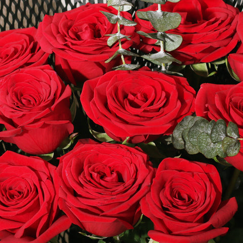 Signature Midnight Kiss Bouquet - Deluxe