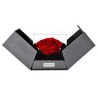 The Novo Astoria - Passionate Red