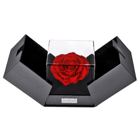 The Infinite Luxe & Beyond Set