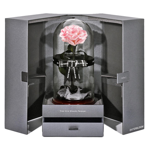 The Novo Enchanted Dome - Innocent Pink