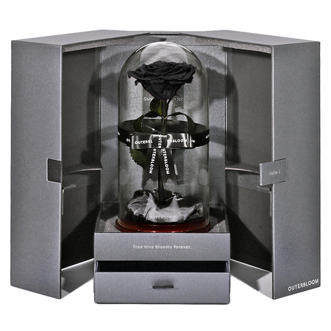 The Novo Enchanted Dome - Midnight Black