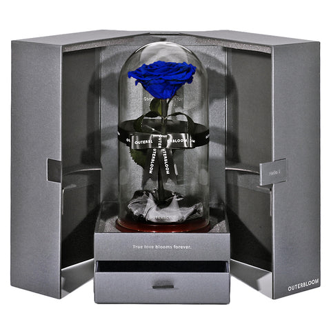 The Novo Enchanted Dome - Midnight Blue