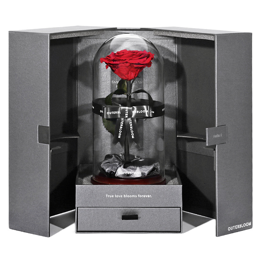 The Infinite Luxe & Beyond Set