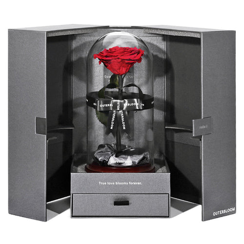The Ultimate Forever Mine Set