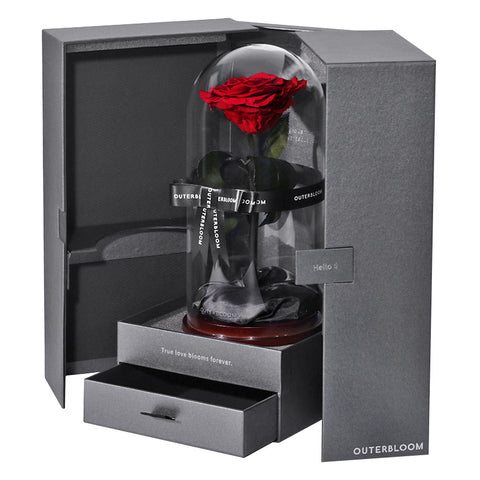 The Novo Enchanted Dome - Passionate Red