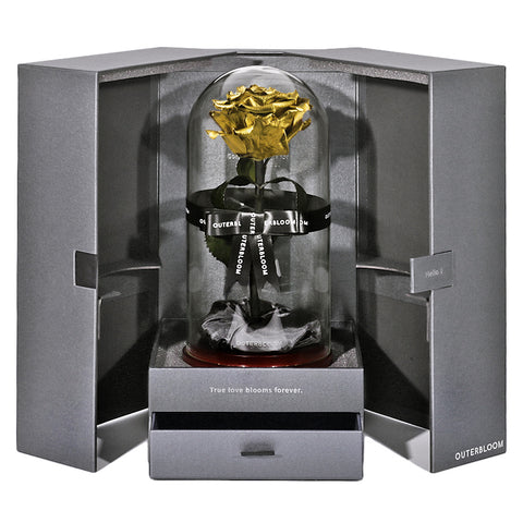 The Novo Enchanted Dome - Royal Gold