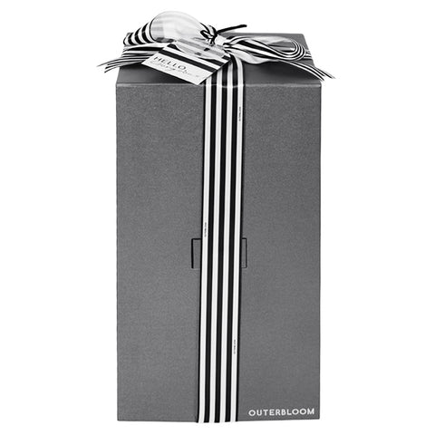 The Novo Enchanted Dome - Midnight Black