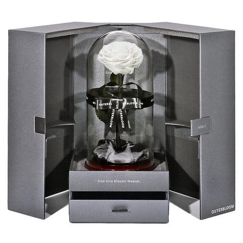 The Novo Enchanted Dome - Angelic White