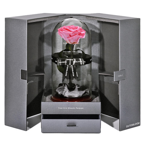 The Novo Enchanted Dome - Charming Pink