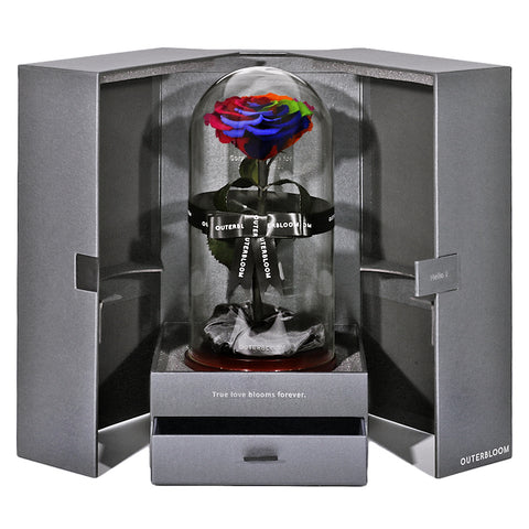 The Novo Enchanted Dome - Magic Rainbow