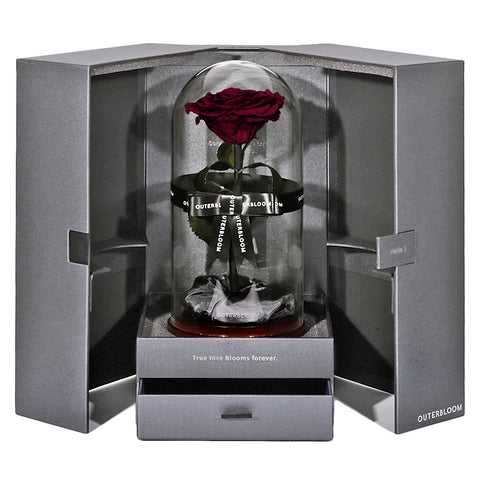 The Novo Enchanted Dome - Wine Red