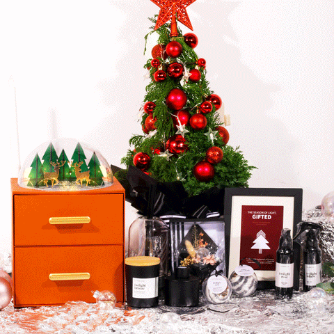 Wonder Twilight Hampers