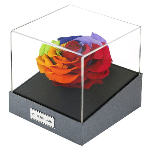 Astoria - Magic Rainbow