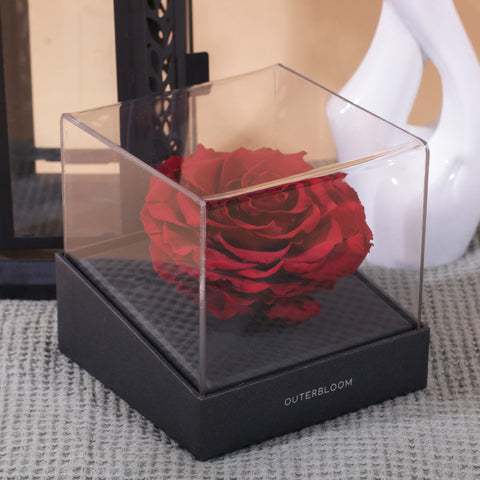 Signature Ramadan Prestige Hampers