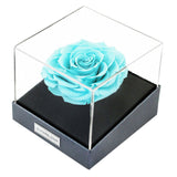 Astoria - Tiffany Blue